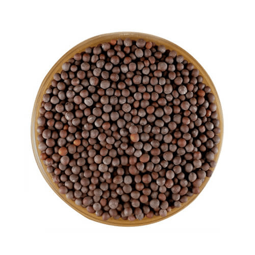 Dhanam Big-Mustard 100 gm